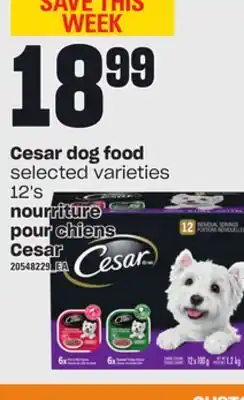 Independent City Market Cesar dog food, 12's offer