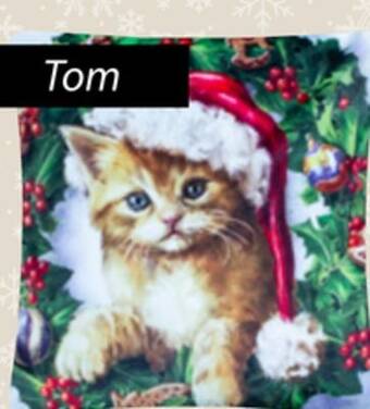 JYSK Tom cushion cover offer