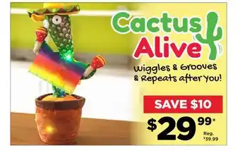 Showcase Cactus alive offer