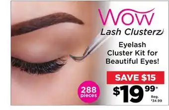 Showcase Wow eyelash cluster kit for beautiful eyes! offer