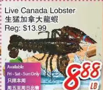 Foody Mart Live canada lobster offer