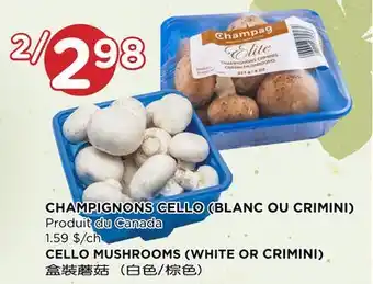 Kim Phat Cello mushrooms (white or crimini) offer