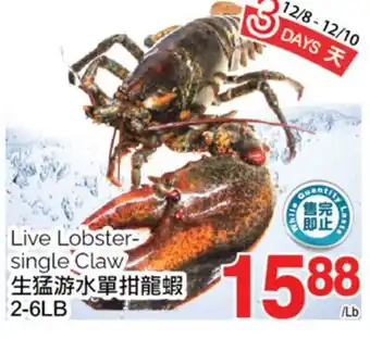 T&T Supermarket Live lobster-single claw, 2-6lb offer