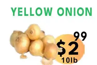 Food World Supermarket Yellow onion offer