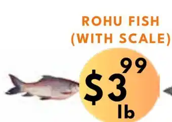 Food World Supermarket Rohu fish (with scale) offer