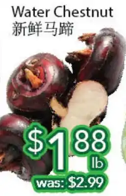 Ample Food Market Water chestnut offer