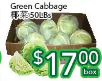 Ample Food Market Green cabbage offer