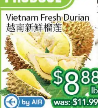 Ample Food Market Vietnam fresh durian offer