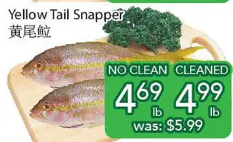 Ample Food Market Yellow tail snapper offer