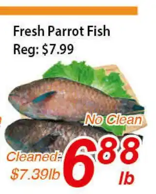 Seasons Foodmart Fresh parrot fish offer