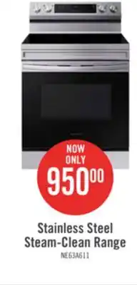 The Brick Samsung 6.3 cu. ft. freestanding electric range with wi-fi - ne63a6111ss/ac offer