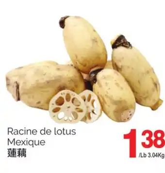 T&T Supermarket Racine de lotus offer