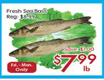 Fresh sea boss