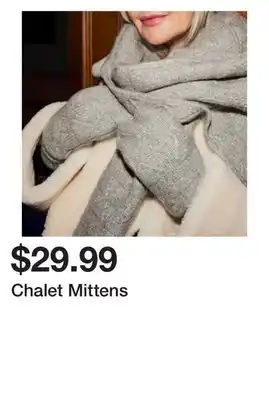 Chapters Indigo Chalet mittens offer