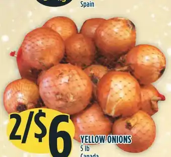 Marché Adonis Yellow onions offer