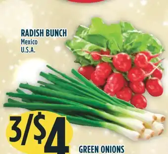 Marché Adonis Radish bunch offer