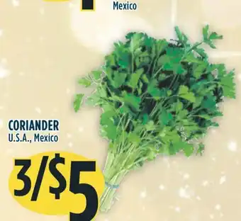 Marché Adonis Coriander offer