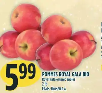Marché Adonis Pommes royal gala bio offer