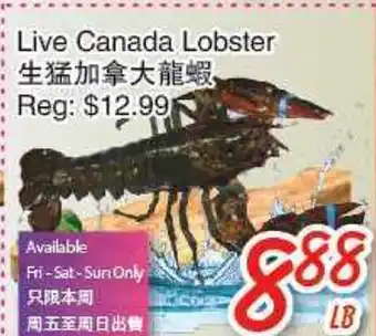 Foody Mart Live canada lobster offer