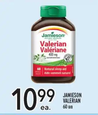 Metro JAMIESON VALERIAN 60 un offer