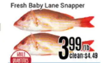 Nations Fresh Foods Fresh baby lane snapper offer