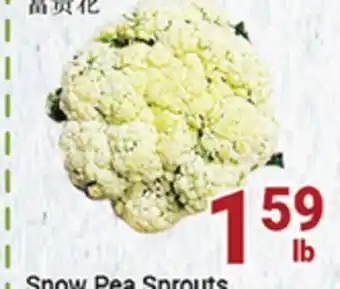 Oceans Fresh Food Market Chinese cauliflower offer