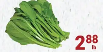 Oceans Fresh Food Market Yu choy offer