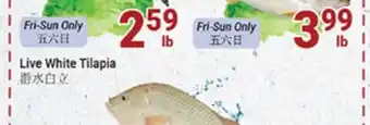 Oceans Fresh Food Market Live white tilapia offer