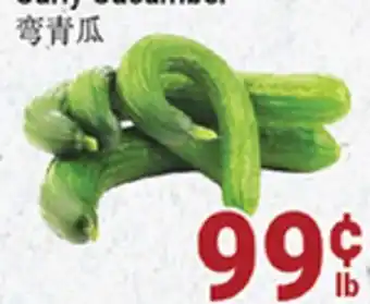 Oceans Fresh Food Market Curly cucumber offer