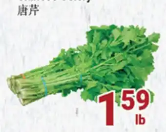 Oceans Fresh Food Market Chinese celery offer