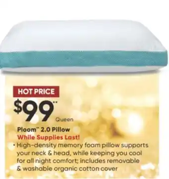 Sleep Country Ploom 2.0 pillow offer