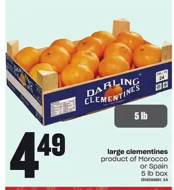 Independent Grocer Large clementines, 5 lb box offer
