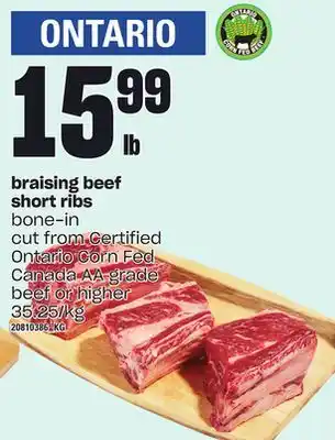 Loblaws Braising beef short ribs offer