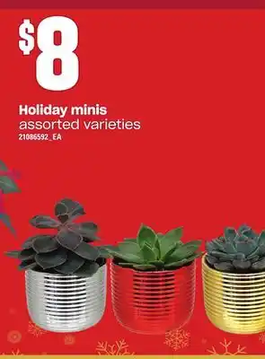 Loblaws Holiday minis offer