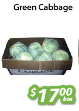 Ample Food Market Green Cabbage offer