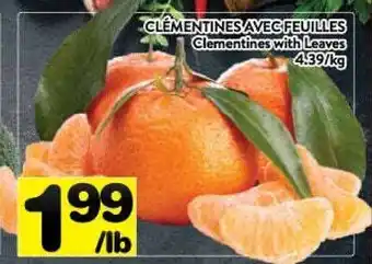 Supermarché PA Clementines with leaves offer
