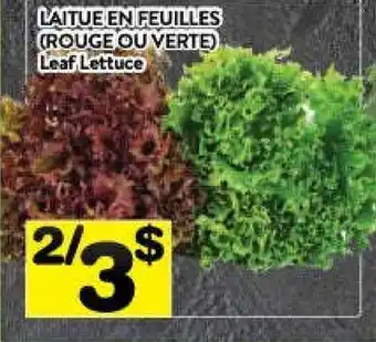 Supermarché PA Leaf lettuce offer