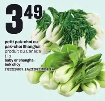 Provigo Petit pak-choï ou pak-choï shanghai, 1 lb offer