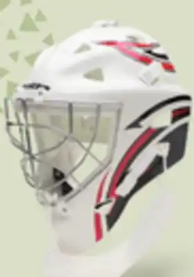 Canadian Tire Vaughn pro street hockey goalie helmet mask offer