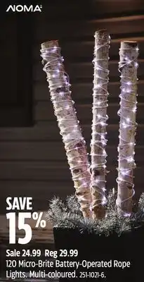 Canadian Tire Noma 120 micro-brite battery-operated rope lights offer