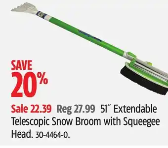 Canadian Tire 51˝ extendable telescopic snow broom with squeegee head offer