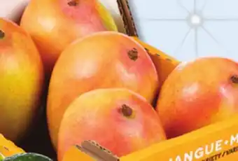 IGA Red mangos offer