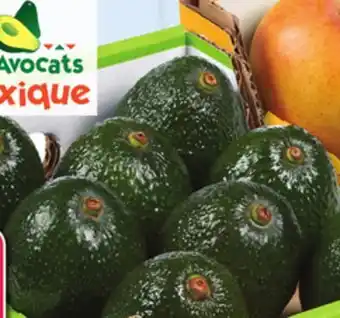 IGA Hass avocados offer