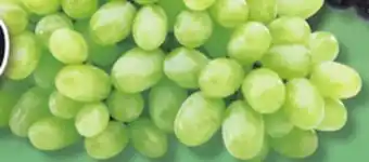 IGA Seedless green offer