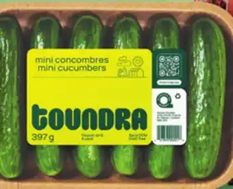 IGA Seedless mini cucumbers offer
