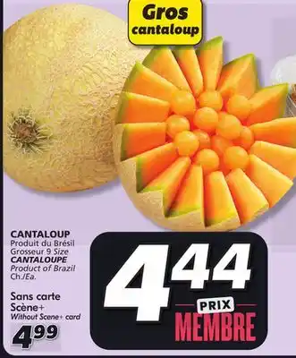 IGA Cantaloupe offer