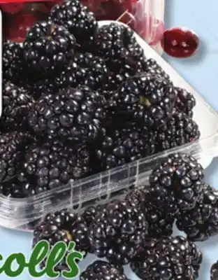 IGA Blackberries offer