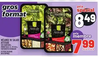 Metro Mélange de salade attitude | attitude salad mix with toppings offer