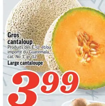 Marché Richelieu Gros cantaloup | large cantaloupe offer