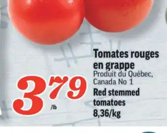 Marché Richelieu Tomates rouges en grappe | red stemmed tomatoes offer
